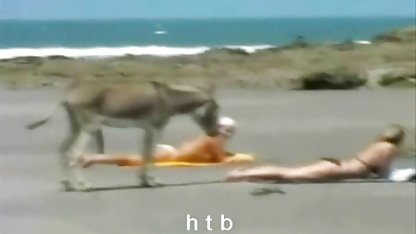 Ibu dan titit situs video prno besar