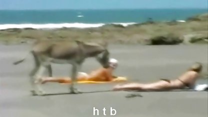 Berputar daftar situs video sex im HEU